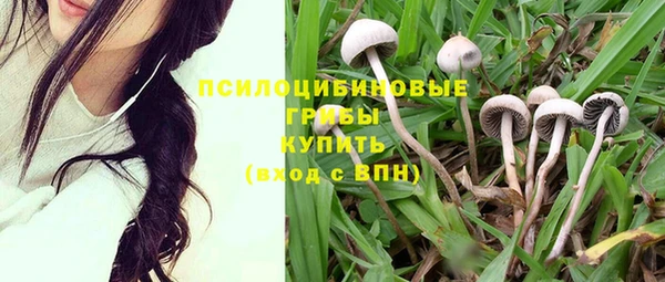 а пвп мука Абаза
