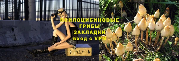 а пвп мука Абаза